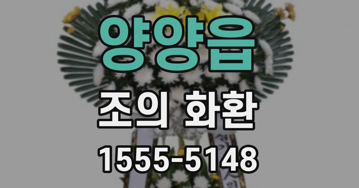 양양읍 조의 화환