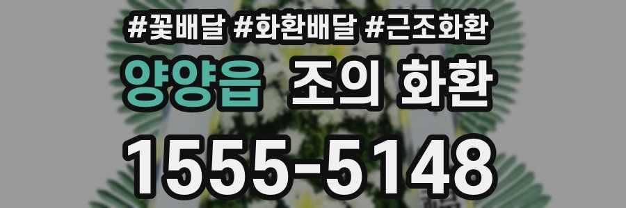 양양읍 조의 화환