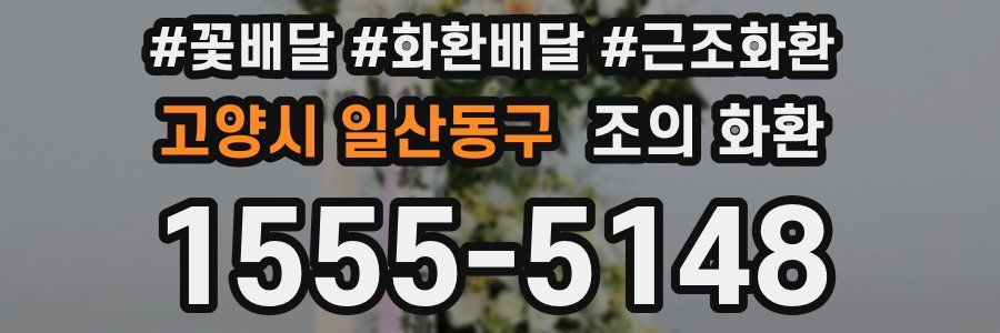 고양시 일산동구 조의 화환