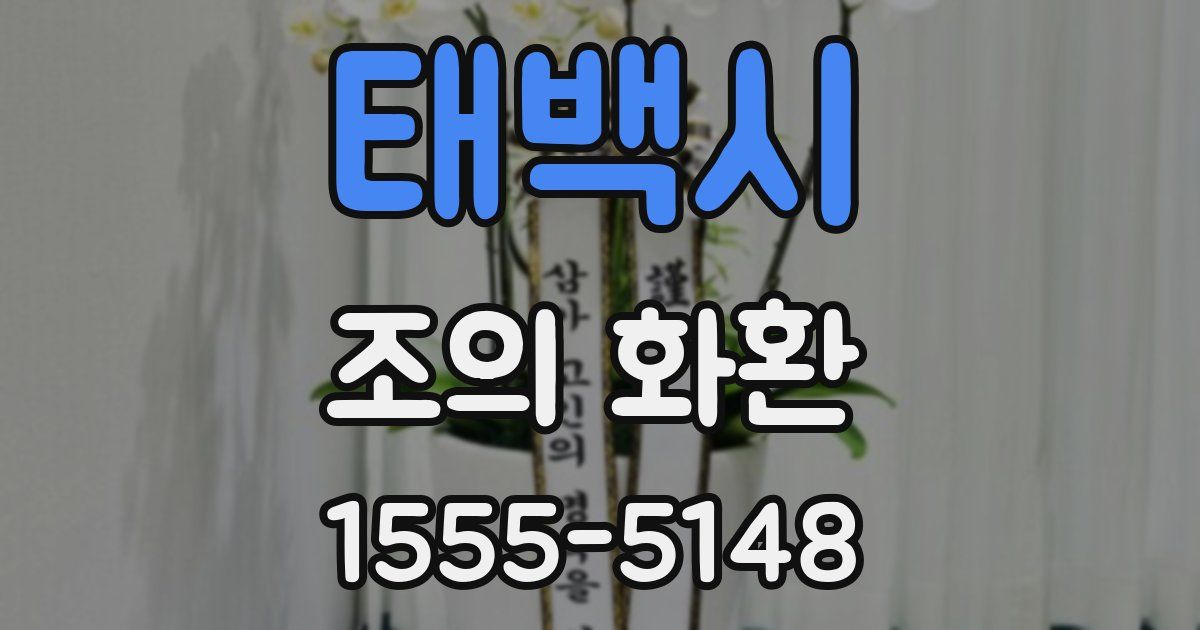 태백시 조의 화환