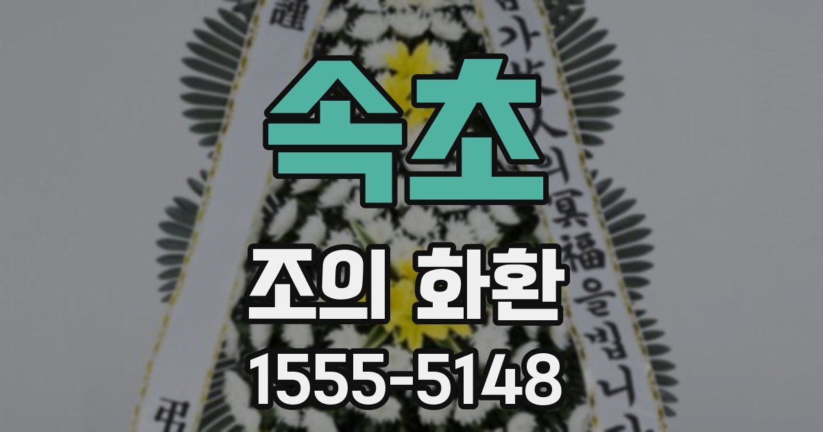 속초 조의 화환