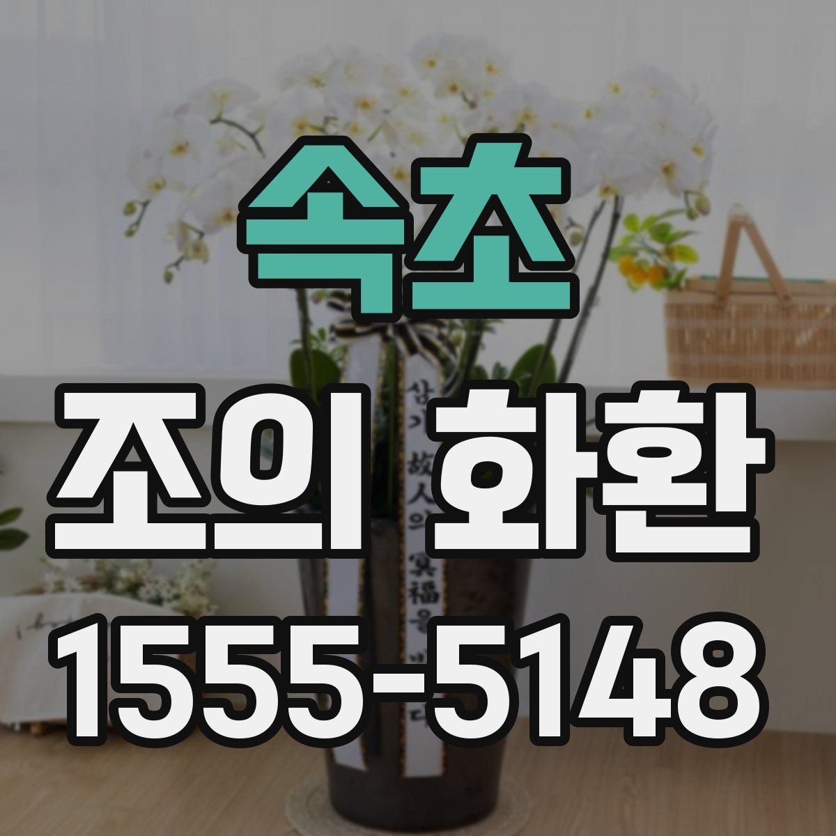 속초 조의 화환