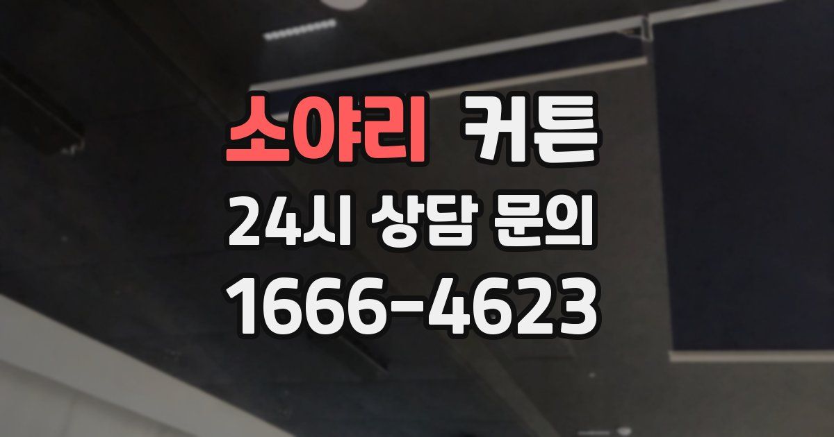 소야리 커튼