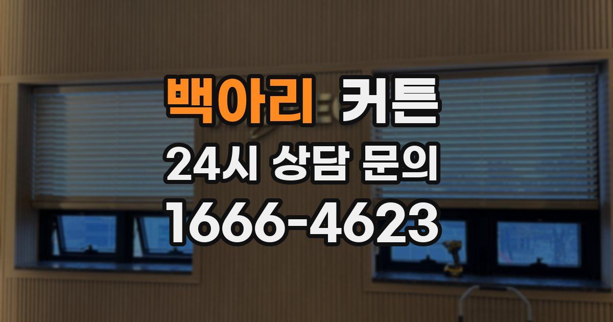 백아리 커튼