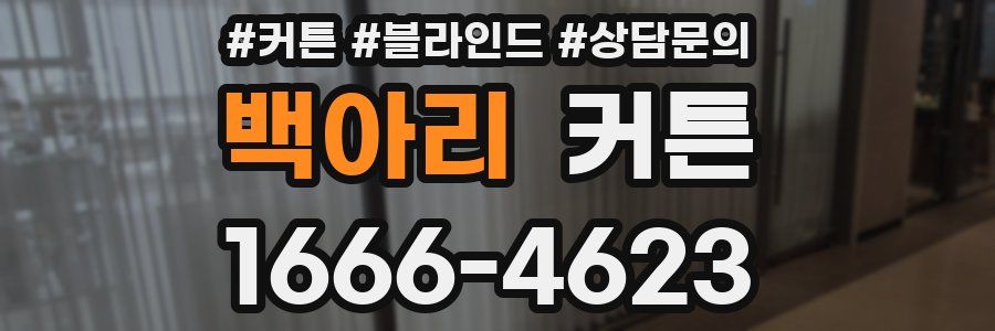 백아리 커튼