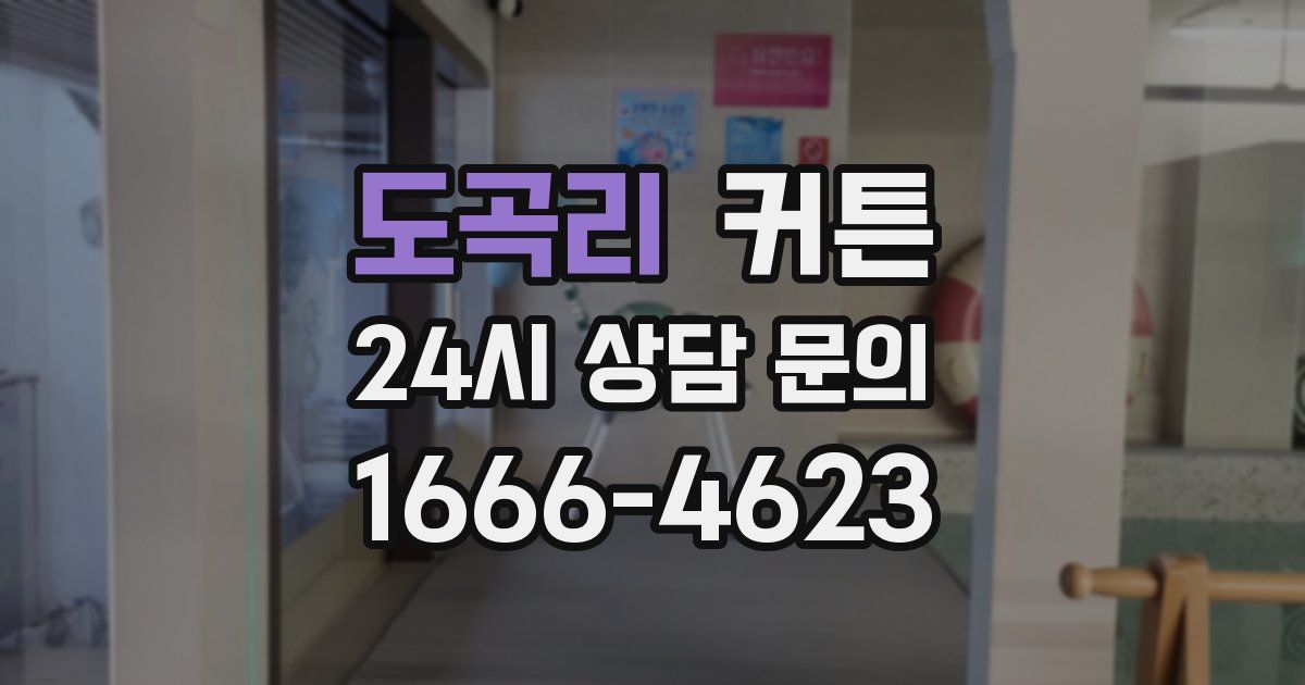 도곡리 커튼