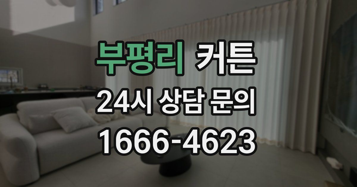 부평리 커튼