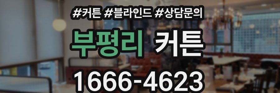 부평리 커튼