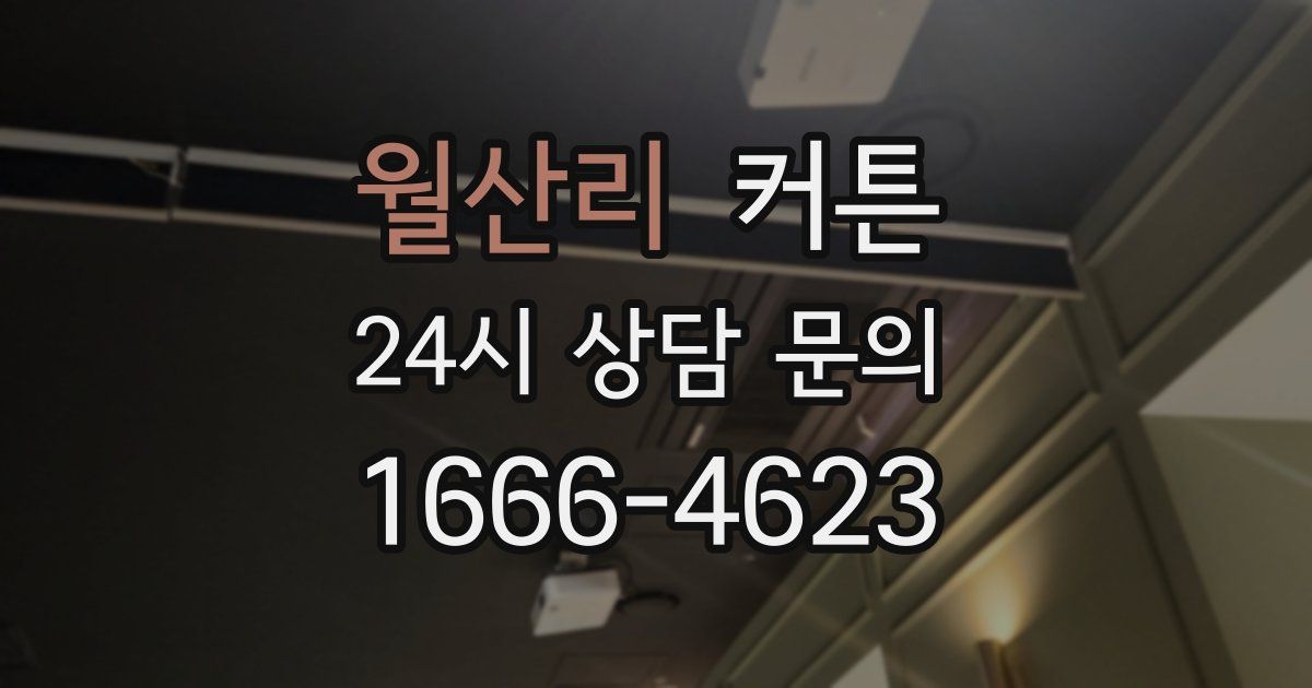 월산리 커튼