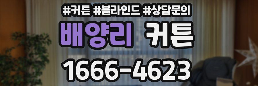 배양리 커튼