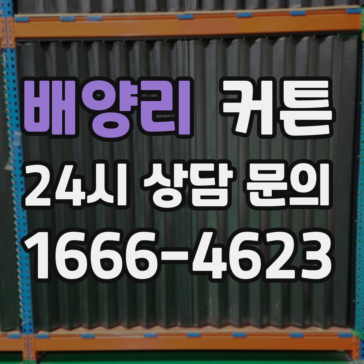 배양리 커튼