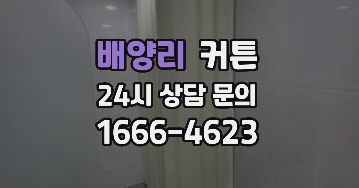 배양리 커튼