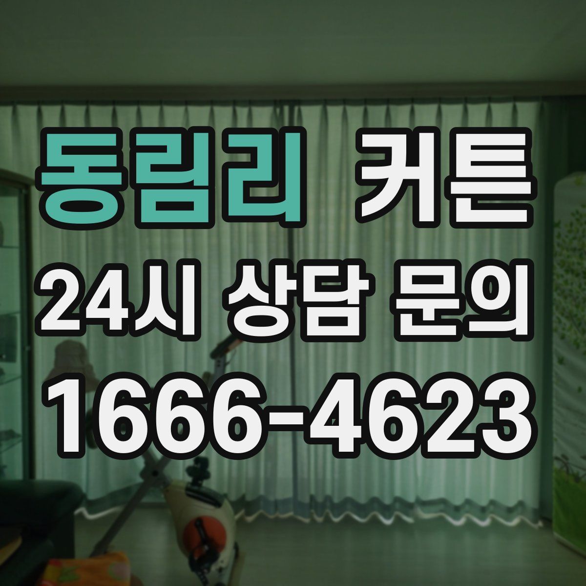 동림리 커튼