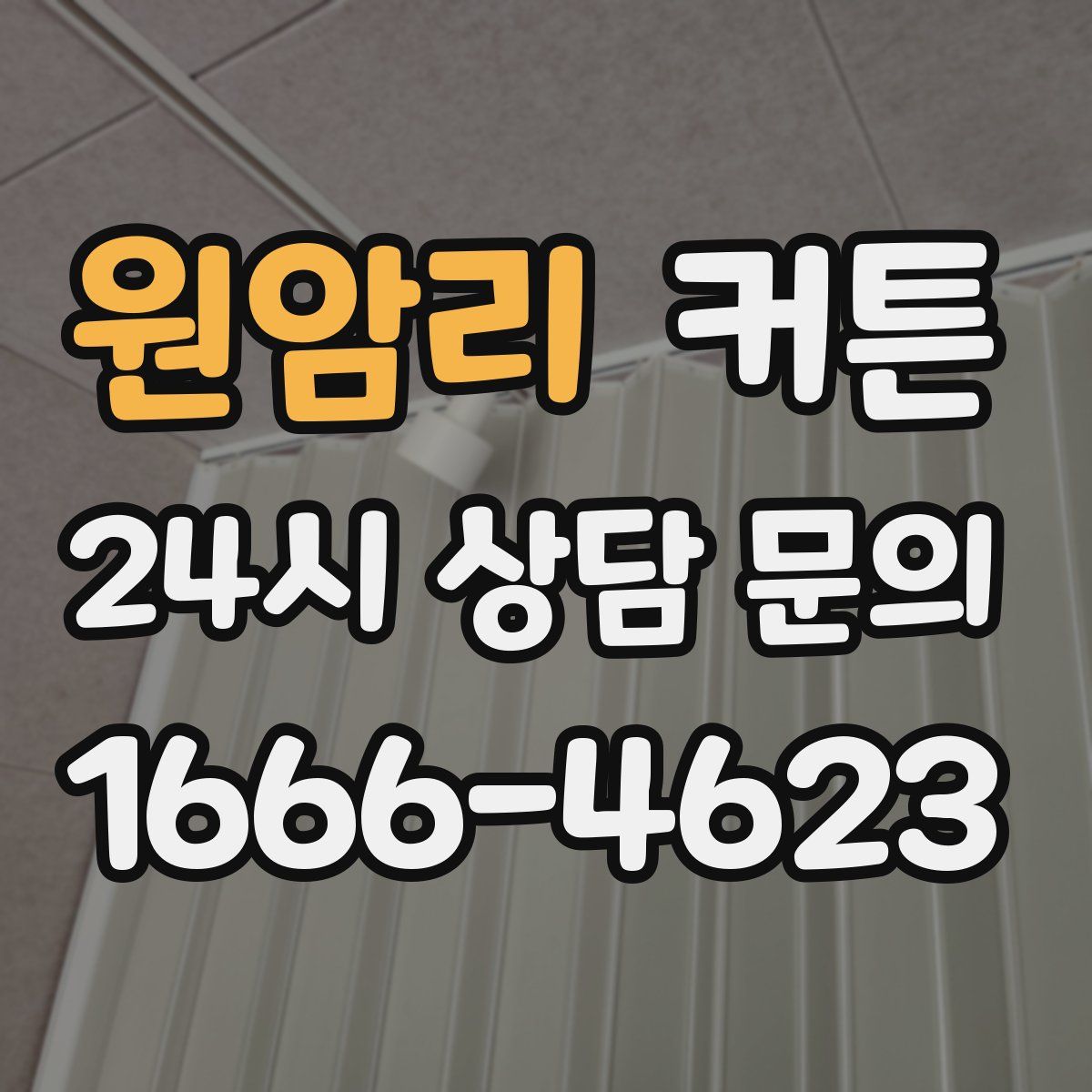 원암리 커튼