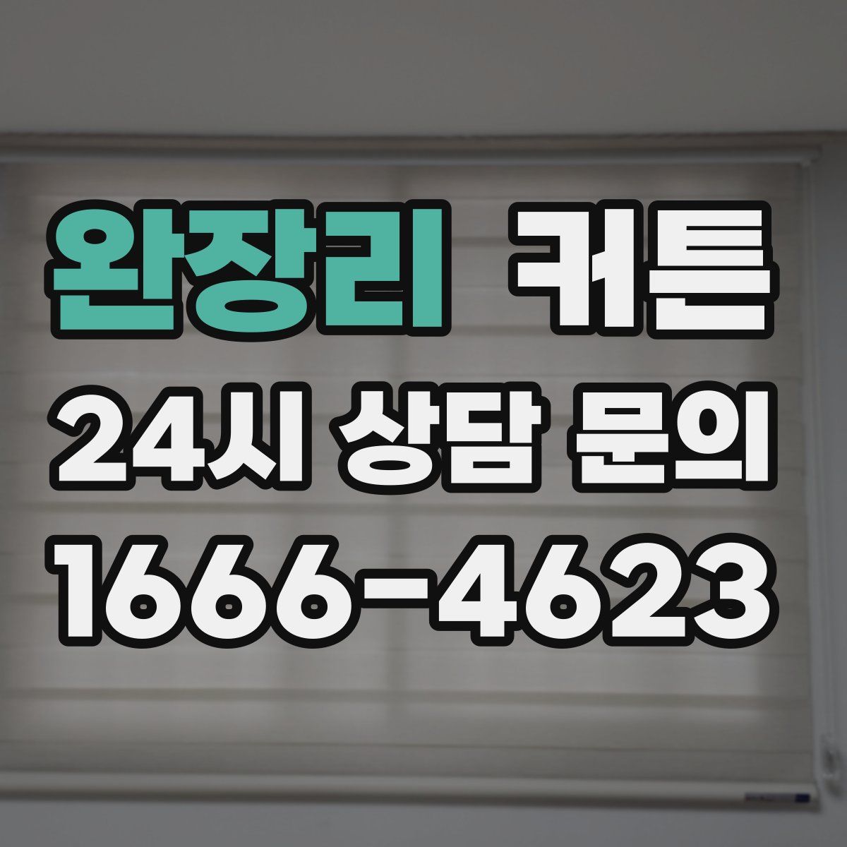 완장리 커튼