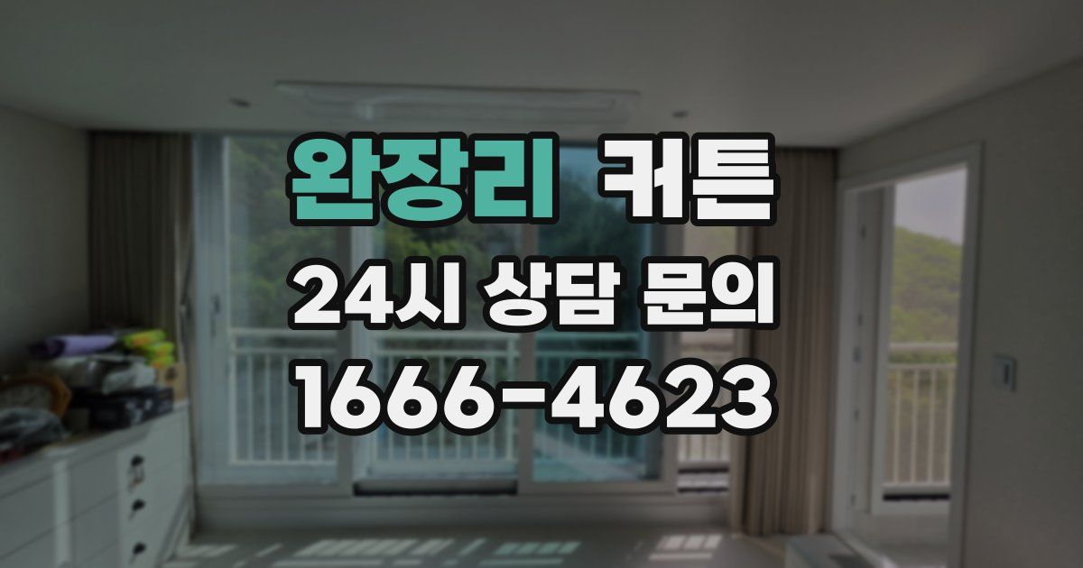 완장리 커튼