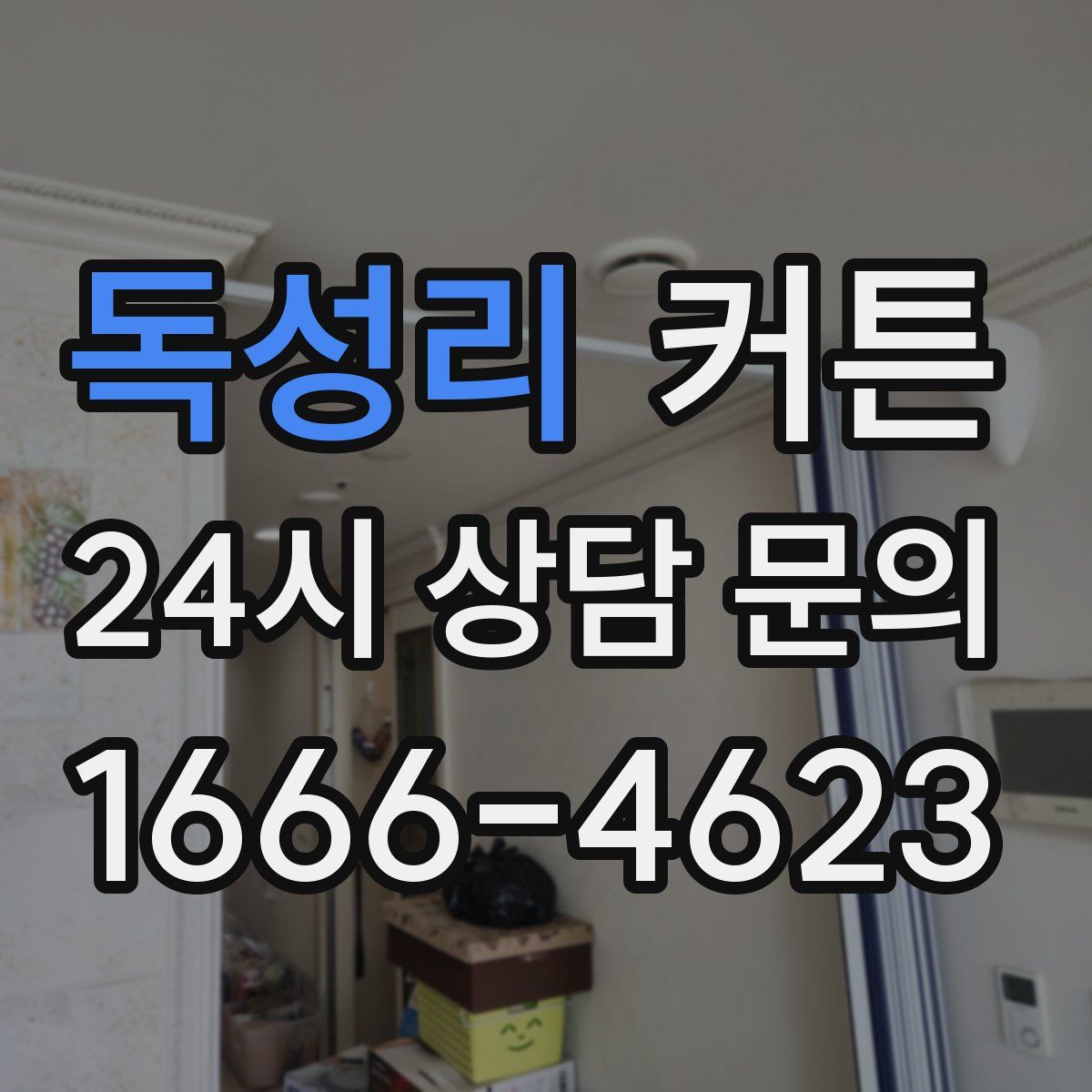 독성리 커튼