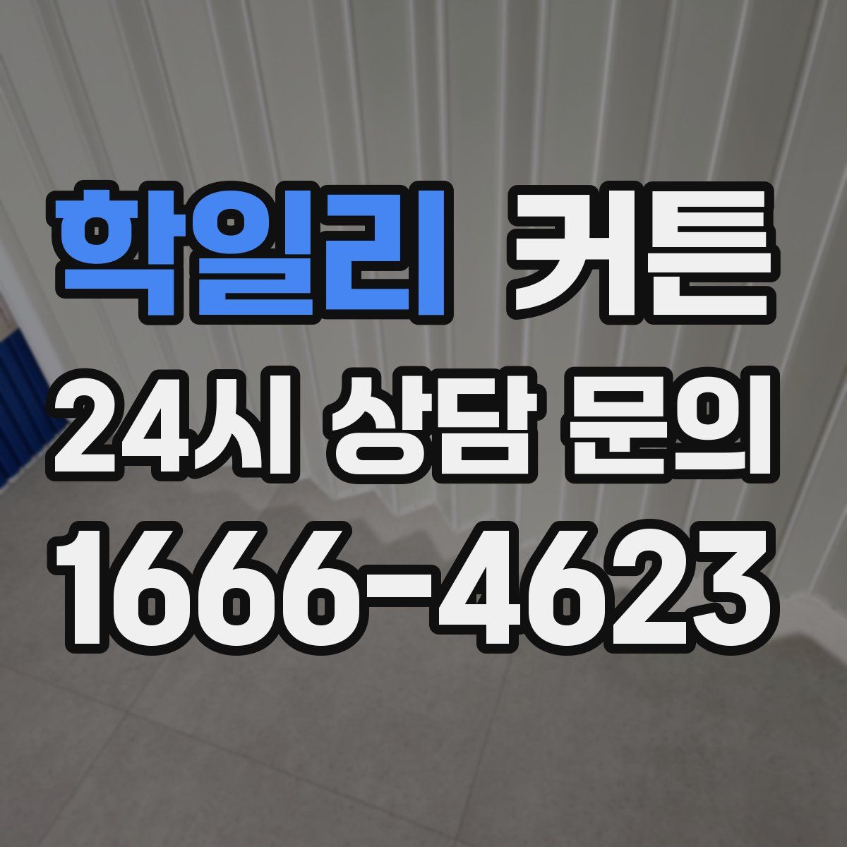 학일리 커튼