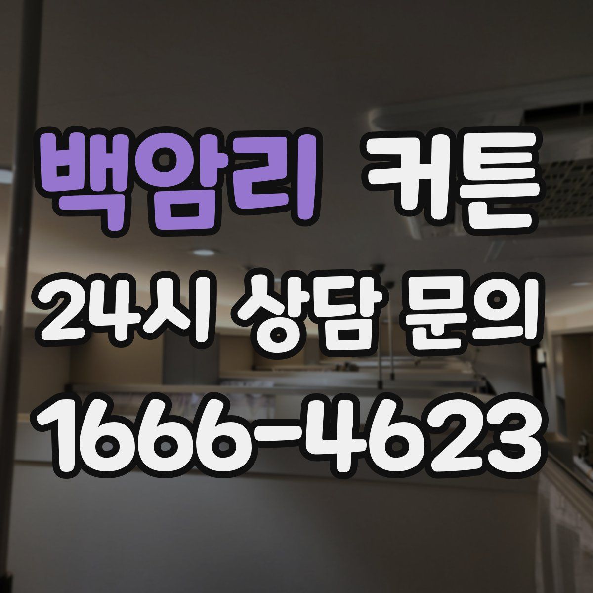백암리 커튼