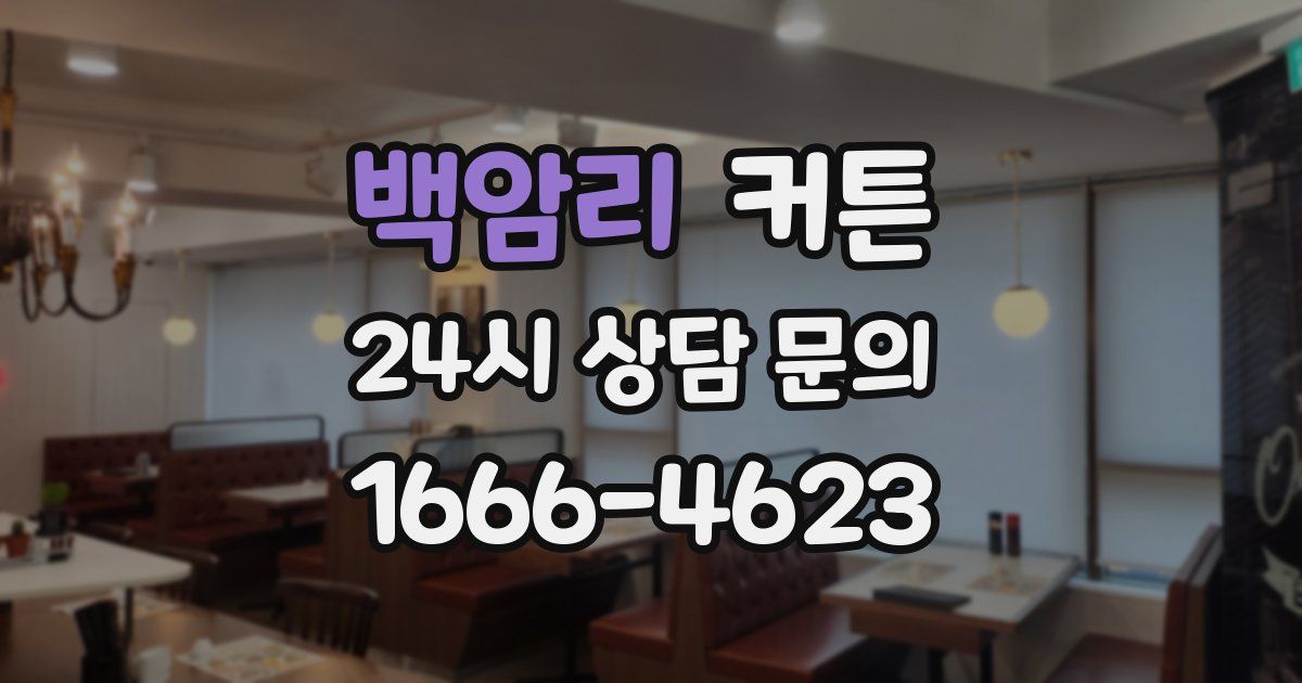 백암리 커튼