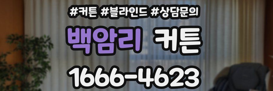 백암리 커튼