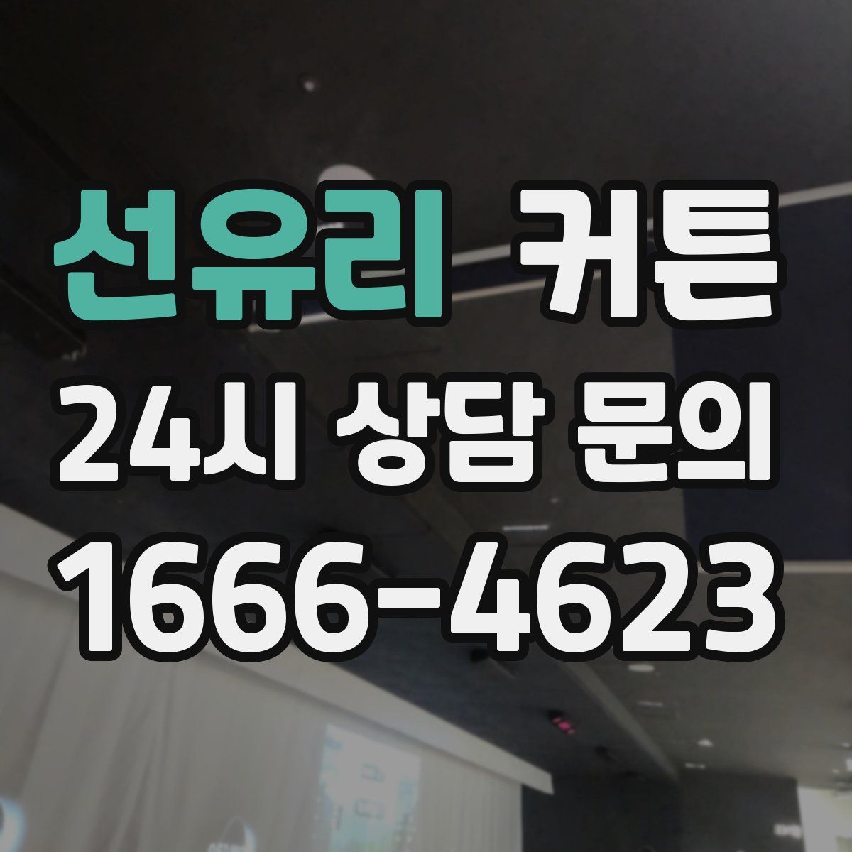 선유리 커튼