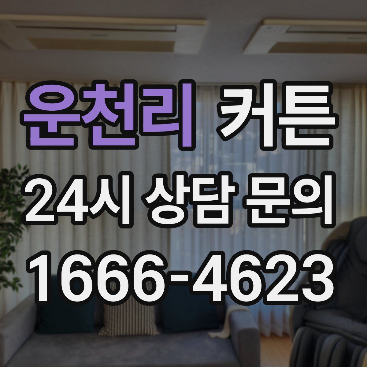운천리 커튼