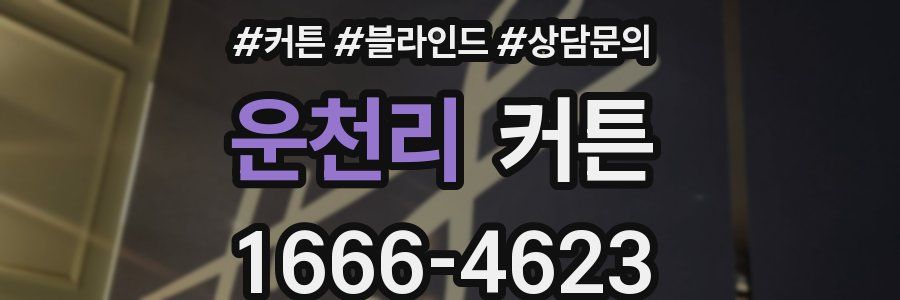 운천리 커튼