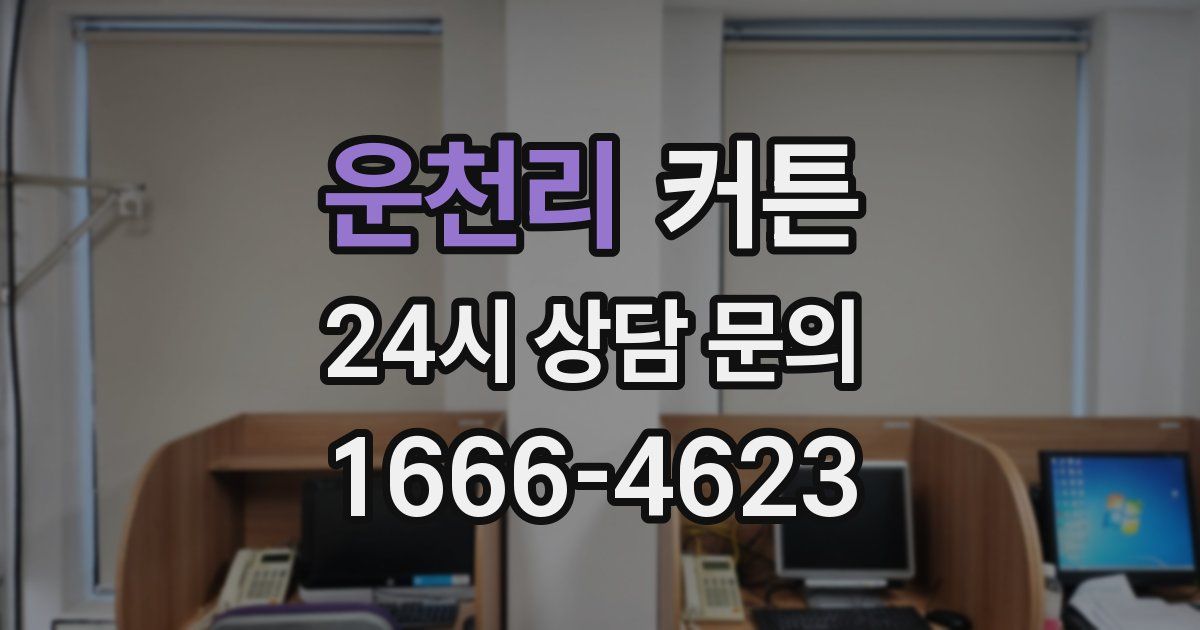 운천리 커튼