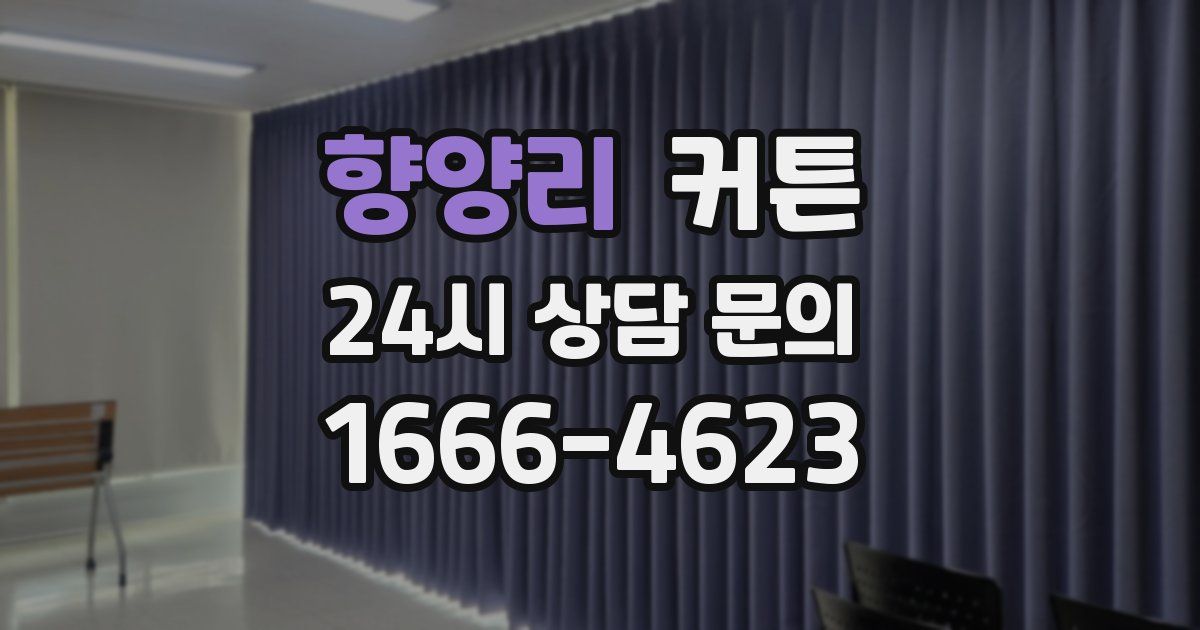 향양리 커튼
