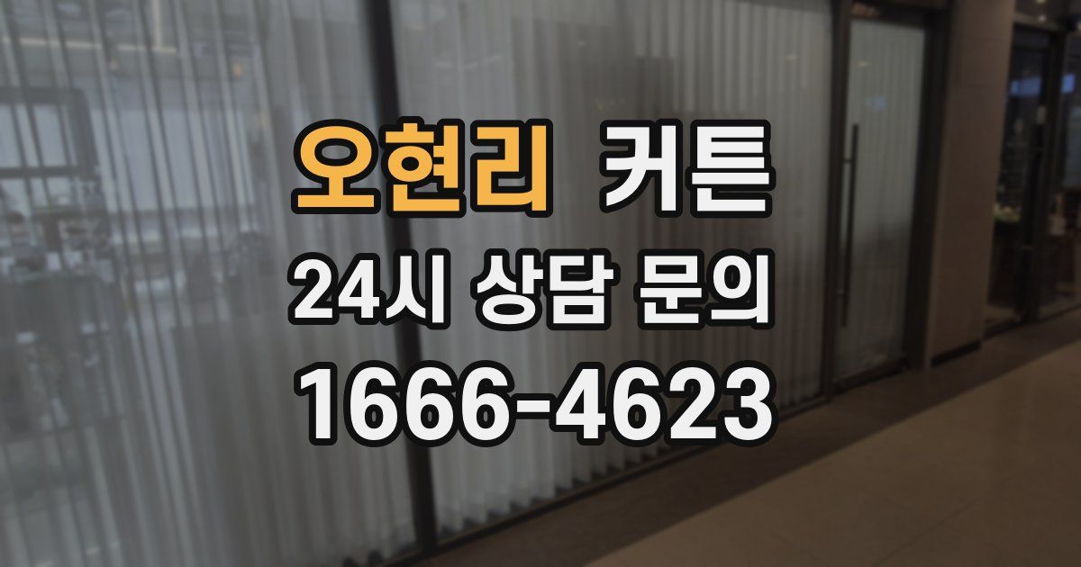 오현리 커튼