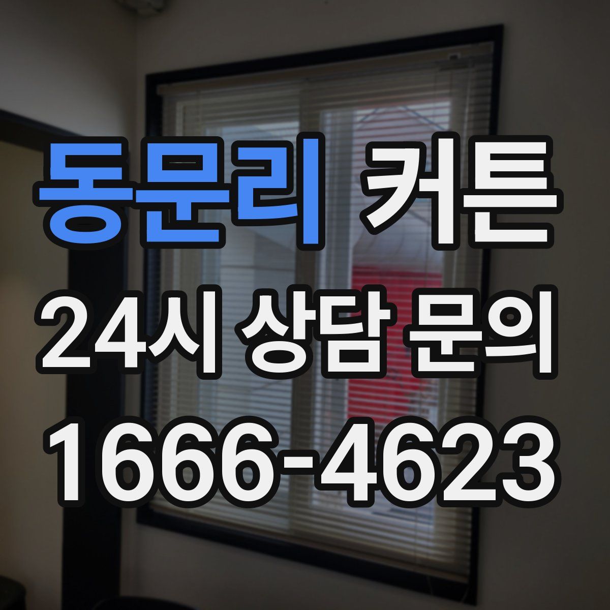 동문리 커튼