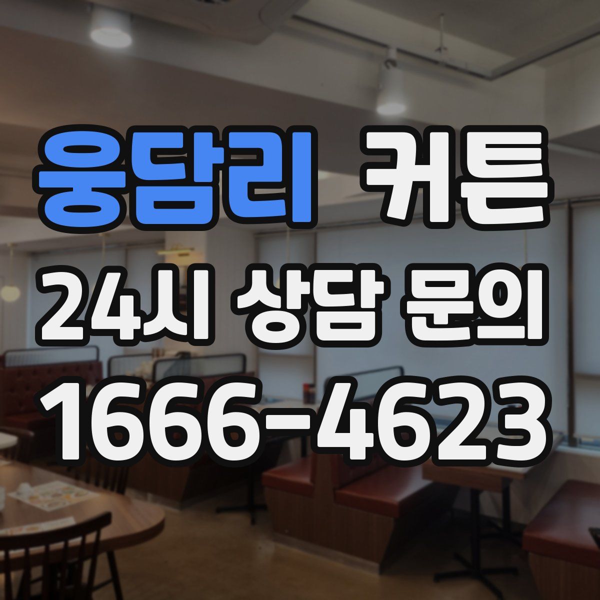 웅담리 커튼