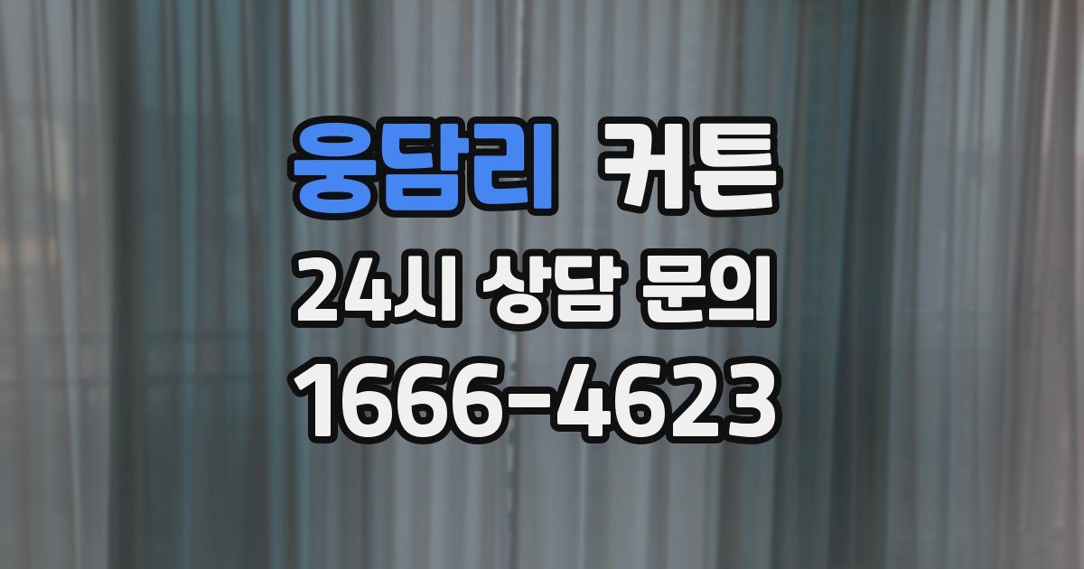웅담리 커튼