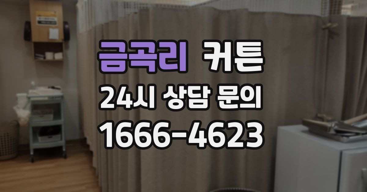 금곡리 커튼