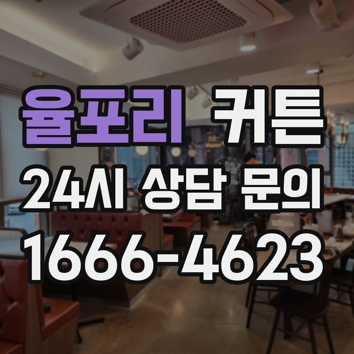 율포리 커튼