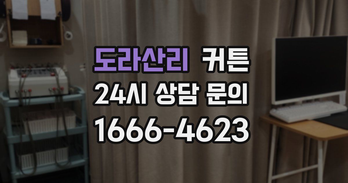 도라산리 커튼