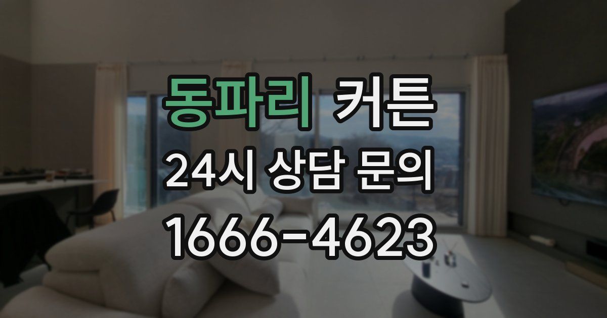 동파리 커튼