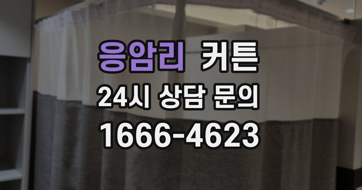 응암리 커튼
