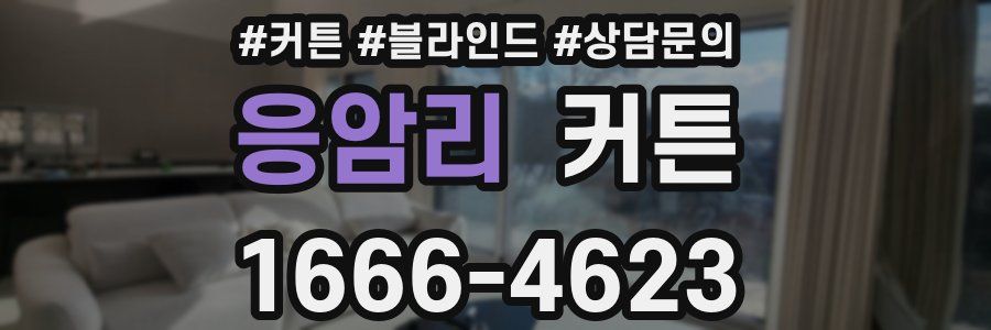 응암리 커튼