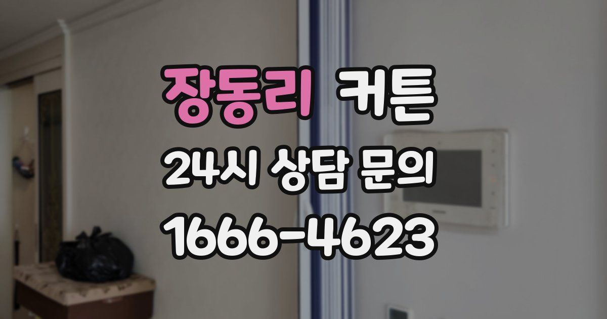 장동리 커튼