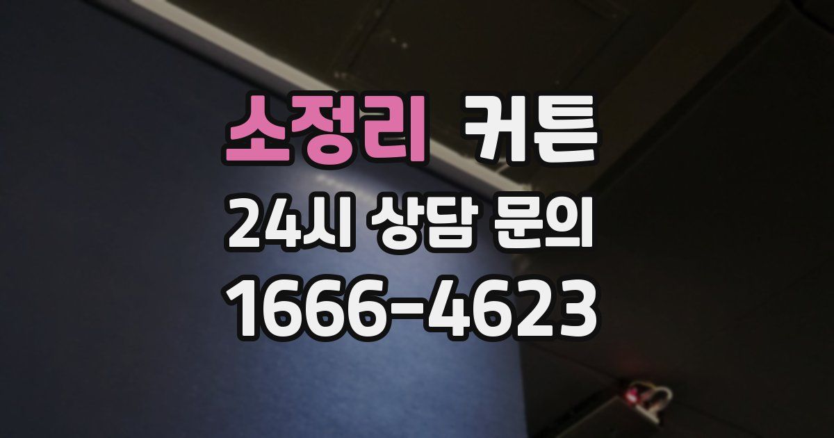 소정리 커튼