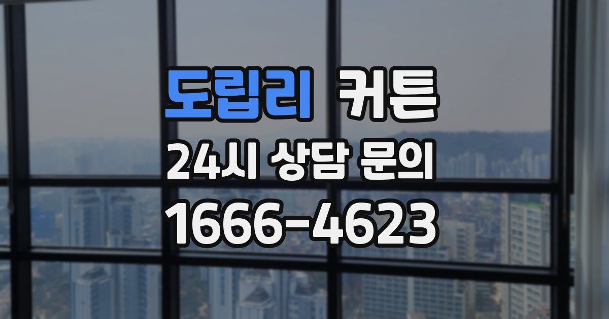 도립리 커튼