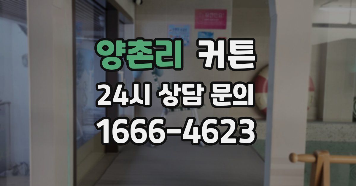양촌리 커튼