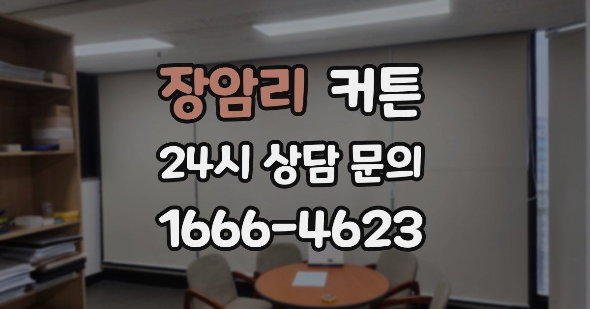 장암리 커튼