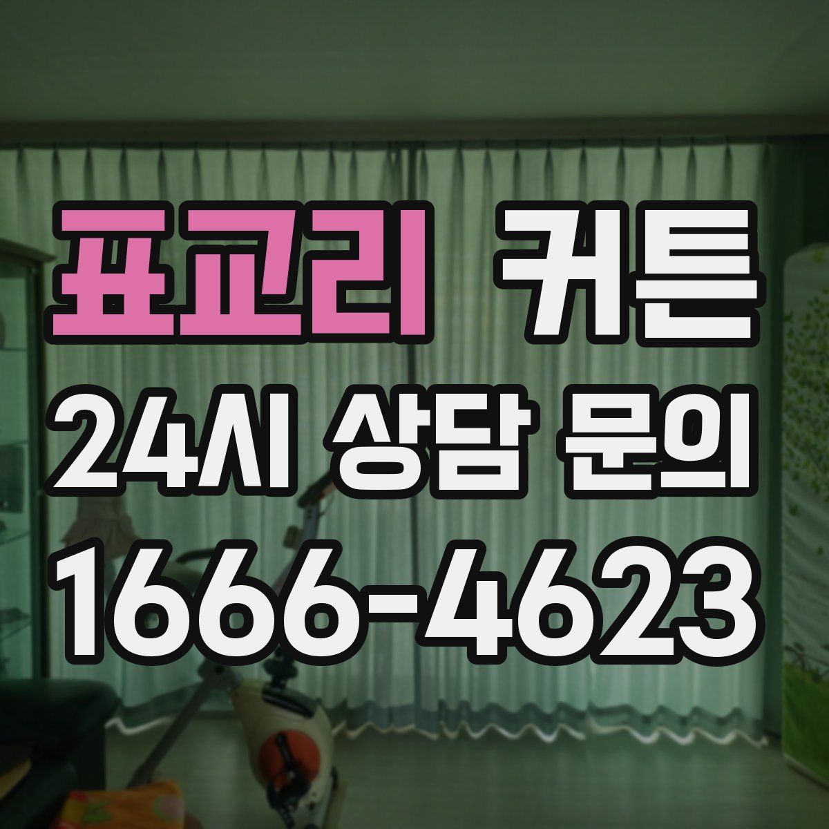 표교리 커튼