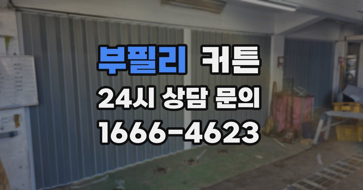 부필리 커튼