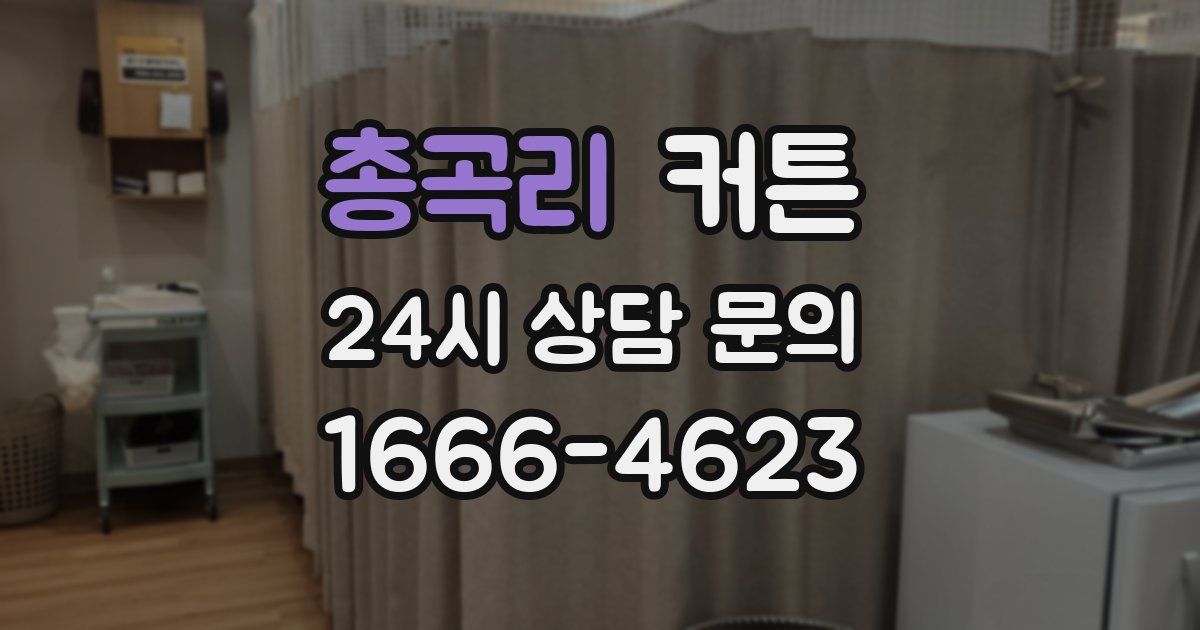 총곡리 커튼