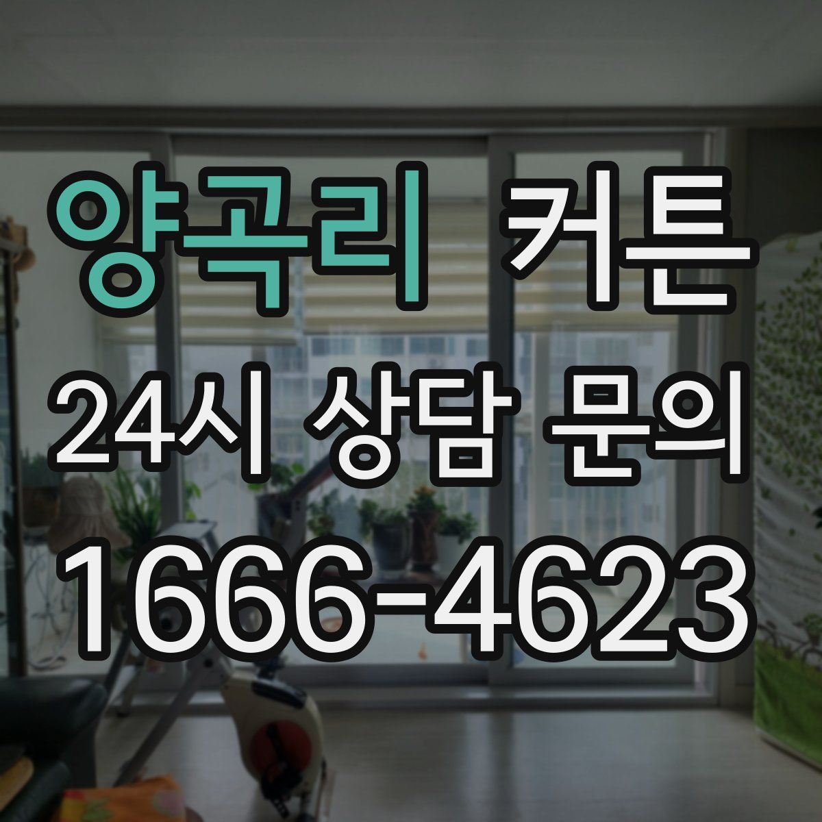 양곡리 커튼