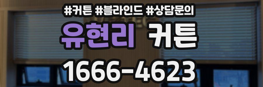 유현리 커튼